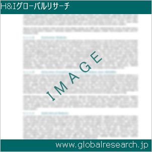グローバルリサーチ調査レポートのイメージ